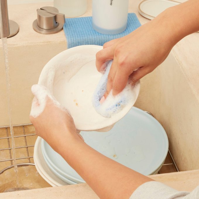Cleaning Companions